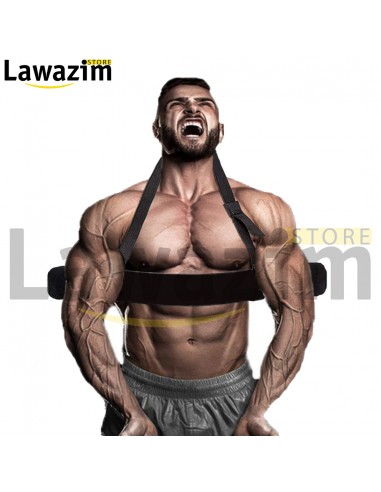 Arm Blaster Biceps Curl Triceps / مكبر الذراع