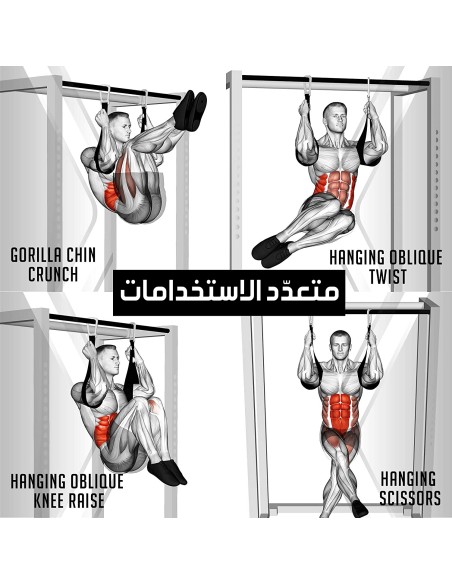 الحمالات الرياضية من slings AB لشد عضلات البطن Altus Athletic Ab Slings