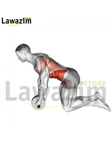 La roue abdominale-عجلة البطن